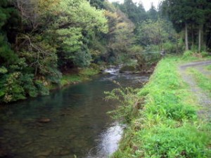 岩屋川　中流域