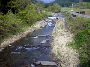 女神川　上流部